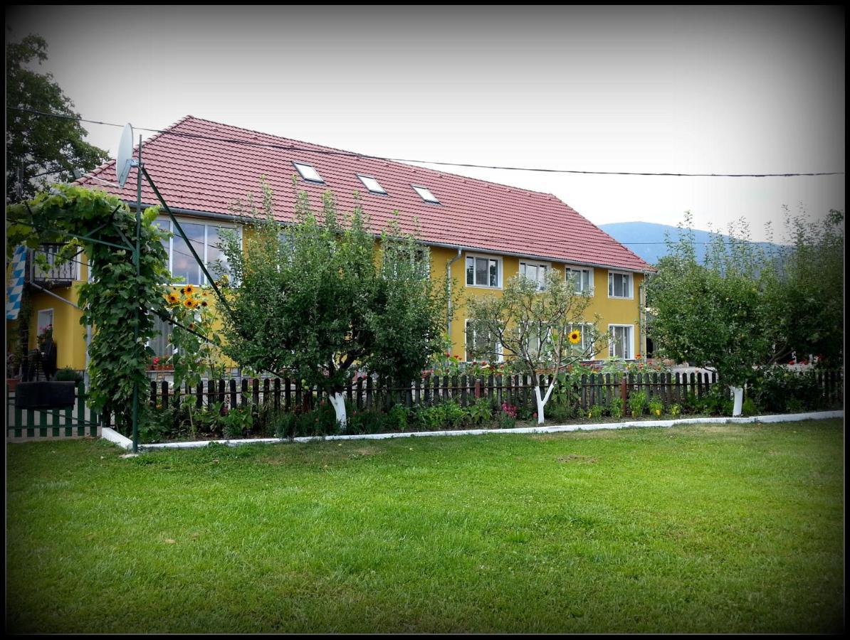 Cazare La Troita Codlea Exterior foto