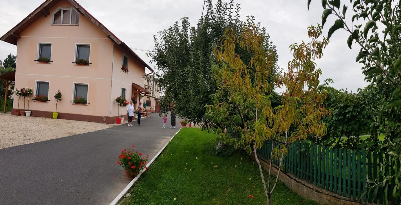 Cazare La Troita Codlea Exterior foto