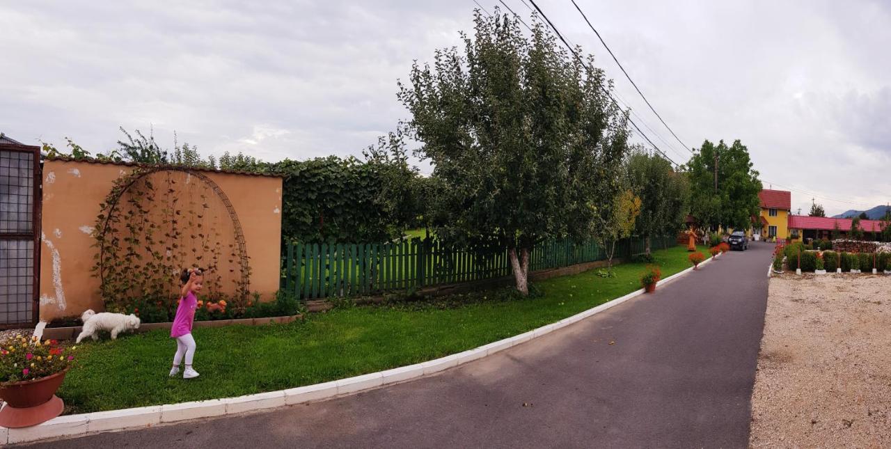 Cazare La Troita Codlea Exterior foto